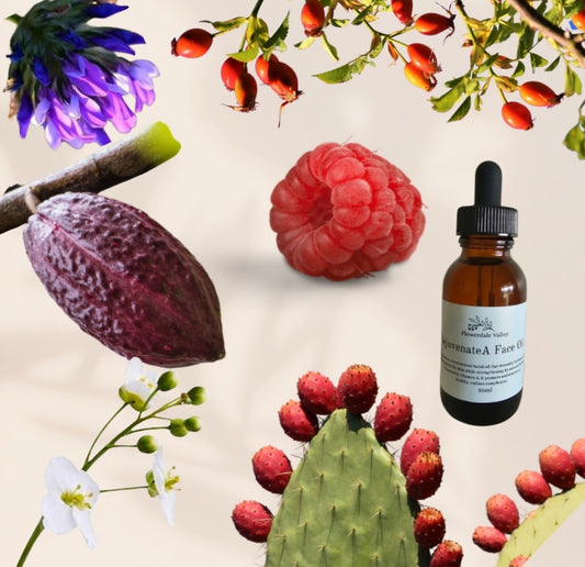 Bakuchiol: Natures answer to Retinol