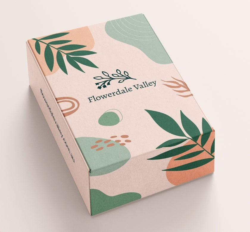 The Gentle Glow Starter Kit