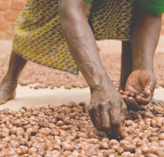 The Benefits of using shea butter on your skin