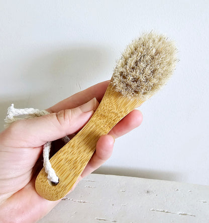 Face and neck Dry Brush/ exfoliating Brush