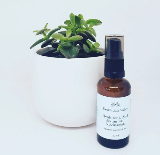 Niacinamide B3 Serum
